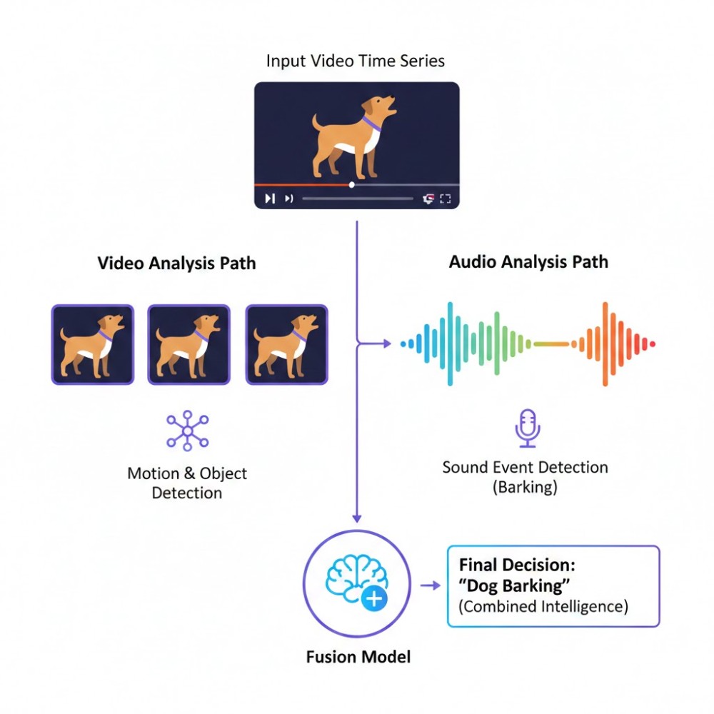 dog barking process.